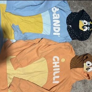 Adult bluey hoodies